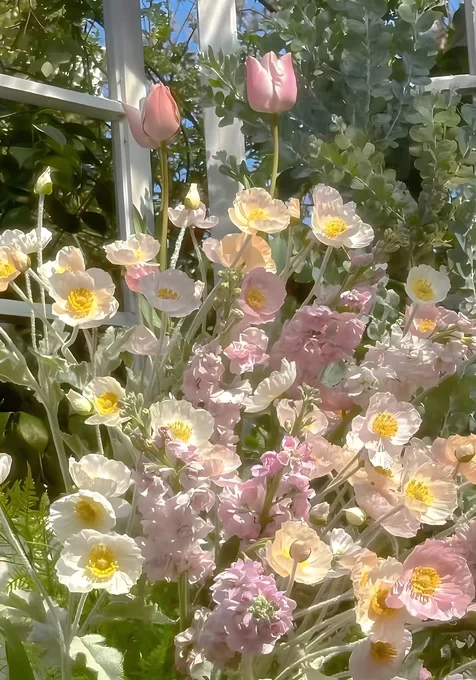 窗前花境·粉白花卉唯美清新春日治愈系手机壁纸