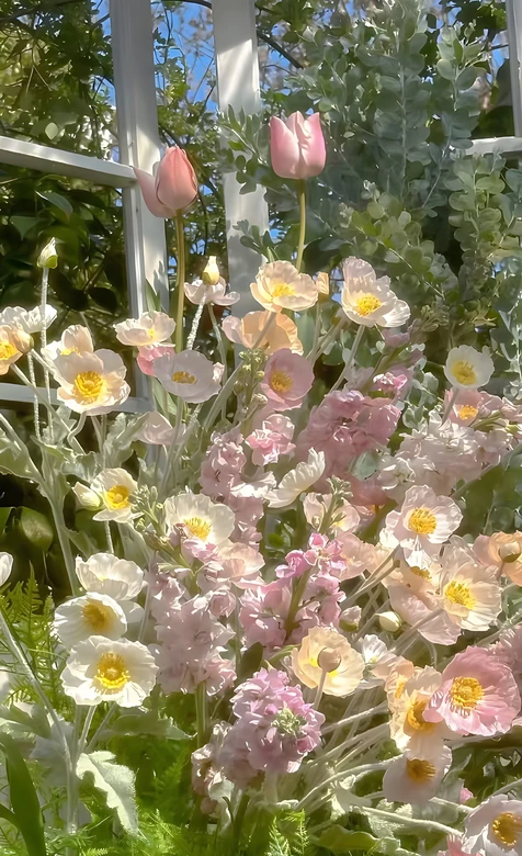 窗前花境·粉白花卉唯美清新春日治愈系手机壁纸-iPhone17-1