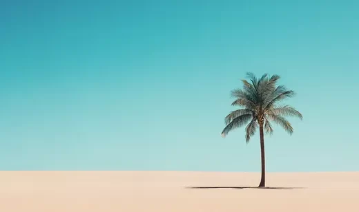 沙漠，椰树风景美图壁纸