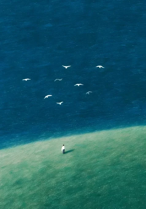 孤人立浅滩群鸟掠蓝海 唯美清新治愈系风景壁纸