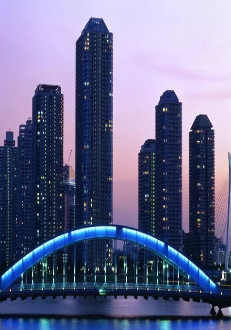 海边的高层建筑繁华夜景手机壁纸
