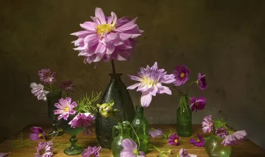 复古花卉静物·写实唯美风 高质感静物花卉电脑壁纸