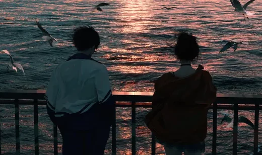 夕阳下，大海，飞翔的海鸥，浪漫的年轻情侣唯美背影壁纸图片