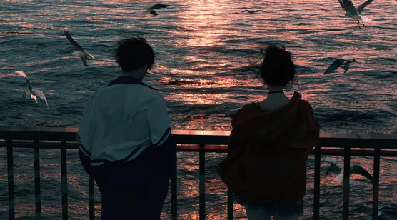 夕阳下，大海，飞翔的海鸥，浪漫的年轻情侣唯美背影壁纸图片-iPhone17-1