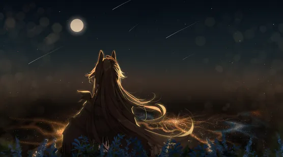 看流星的动漫女生唯美背影，漫漫的夜动漫女生插画背景壁纸图片-iPhone17-1