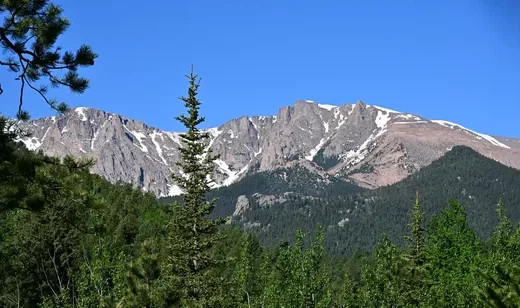 雪山针叶林·澄澈晴日 4K高清宽屏桌面背景