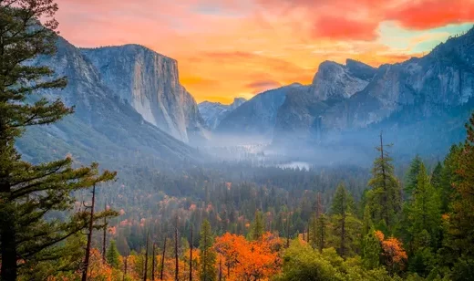 优胜美地山谷秋林·唯美写实·自然风景电脑壁纸