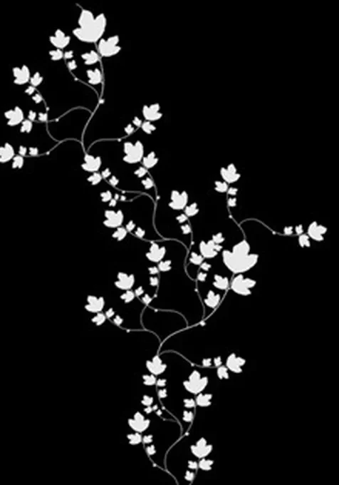 精美花图腾手机桌面壁纸