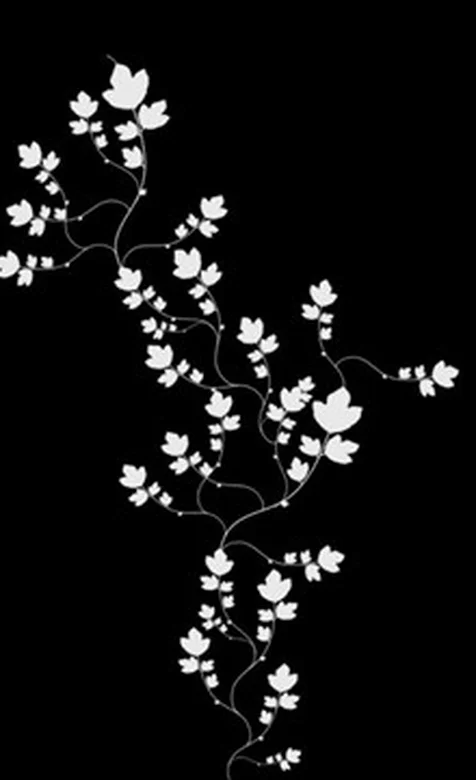 精美花图腾手机桌面壁纸-iPhone17-1