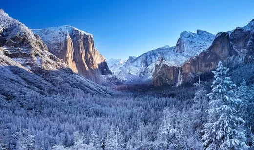 冬季的森林风景桌面壁纸万物正在复苏