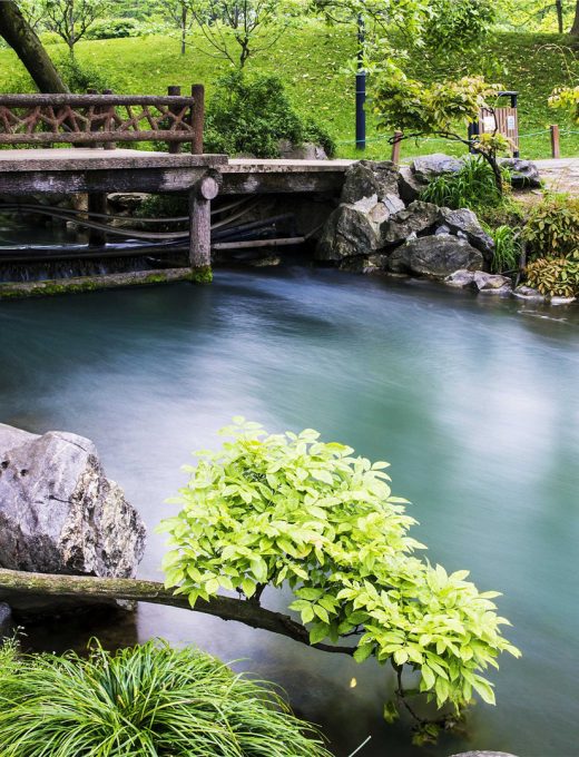 风景壁纸