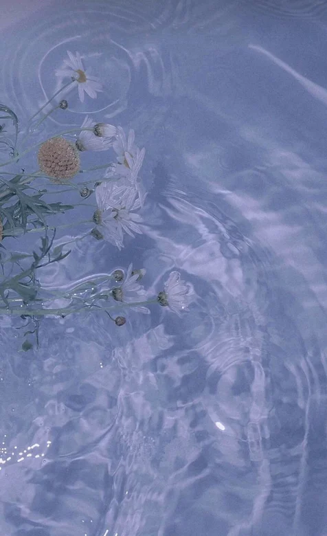 清澈的湖水，生长在湖边野菊花在水中，不时荡起波纹-iPhone17-1