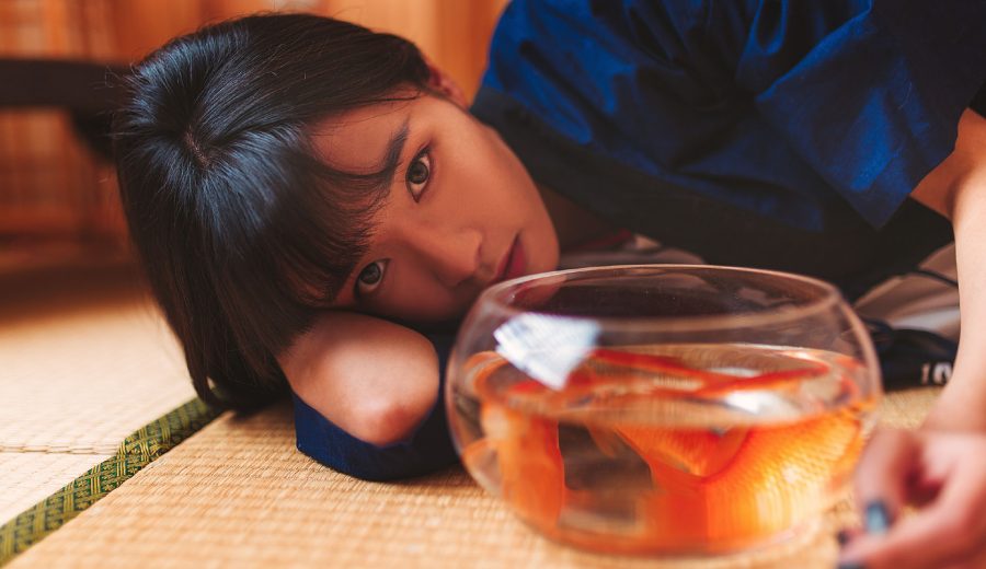 4K高清壁纸