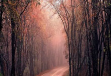 掌握短视频剧本格式：创作技巧与格式规范全攻略