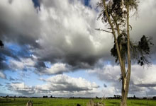 如何拍摄吸引眼球的营销类短视频：技巧与策略全解析