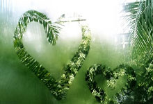 远离短视频成瘾：策略与实践指南