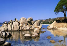 如何制作感人至深的辞职短视频：技巧与案例分析